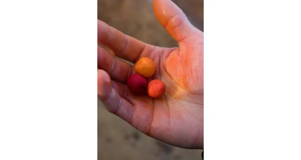 CHYTIL - Smoke Pop Up 15 mm 35 g Mango