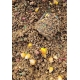CHYTIL - Vařená kukuřice 250 g