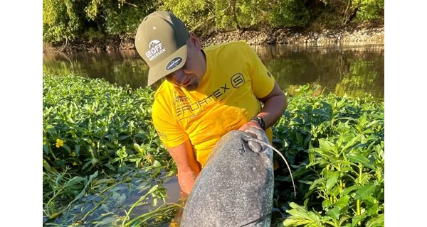 CLIMAX - Šňůra Cult Catfish 1,3 mm 135 kg 20 m Žlutá