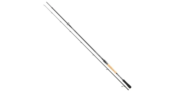 DAIWA - Prut Airity Hybrid 2,45 m 7-35 g 2 díly