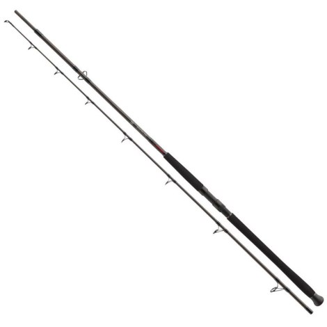 DAIWA - Prut Exceler Catfish Boje 2,70 m 200 - 600 g