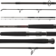 DAIWA - Prut Exceler Catfish Boje 3,30 m 200-600 g