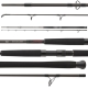 DAIWA - Prut Exceler Catfish Boje 3,30 m 200 - 600 g