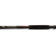 DAIWA - Prut Exceler Catfish Boje 3 m 200-600 g