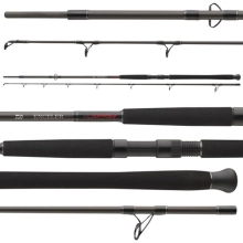 DAIWA - Prut Exceler Catfish Boje 3 m 200-600 g