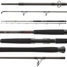 DAIWA - Prut Exceler Catfish Boje 3 m 200-600 g