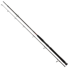 DAIWA - Prut Exceler CF Spin 2,4 m 135 g