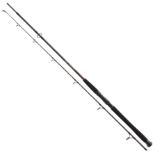 DAIWA - Prut Exceler CF Spin 2,7 m 135 g