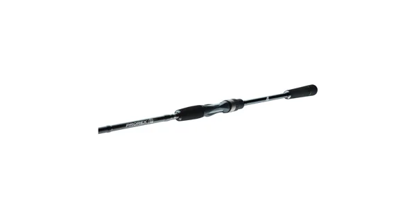 DAIWA - Prut Prorex S Spin 2,4 m 30-70 g 2 díly