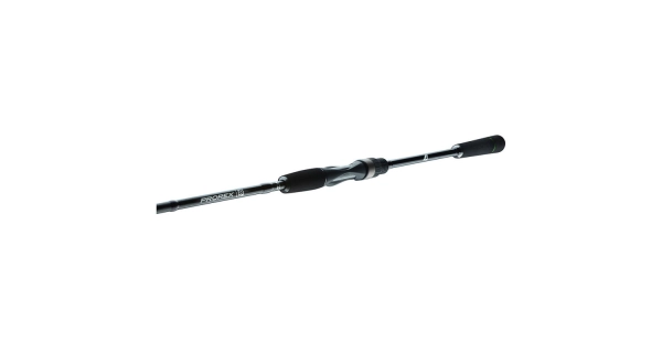DAIWA - Prut Prorex S Spin 2,4 m 5-21 g