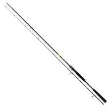 DAIWA - Prut Prorex X Spin 2,4 m 30-70 g