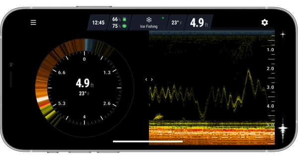 DEEPER - Nahazovací sonar Pro+ 2