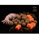 DELPHIN - Boilies BreaX SeaKER 16 mm 300 g Oliheň Losos