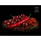 DELPHIN - Boilies v dipu BreaX HotHELL Robin red-Chilli Fr.Klobása 16 mm 200 ml