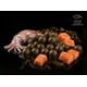 DELPHIN - Boilies v dipu BreaX SeaKER Oliheň Losos 16 mm 200 ml