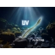 DELPHIN - Gumová nástraha TOXIN UVs 8 cm 2 g 8 ks Impulz