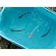 DELPHIN - Okysličovač HydrO2 1,5W 2200mAh