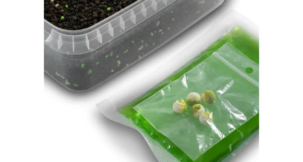 DELPHIN - Pelety Pellet box Reaxe Ready&Go 400 g Česnek-Butyric