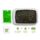 DELPHIN - Pelety Pellet box Reaxe Ready&Go 400 g Česnek-Butyric