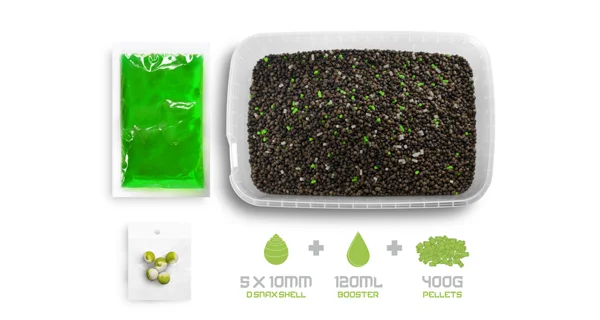 DELPHIN - Pelety Pellet box Reaxe Ready&Go 400 g Česnek-Butyric