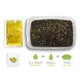DELPHIN - Pelety Pellet box Reaxe Ready&Go 400 g Kukuřice-Ananas