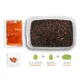 DELPHIN - Pelety Pellet box Reaxe Ready&Go 400 g Mango-Broskev