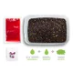 DELPHIN - Pelety Reaxe Ready&Go Pellet Box 400 g + Booster a wafters  Švestka Moruše