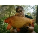 DELPHIN - Plyšový kapr Carpy 60 cm
