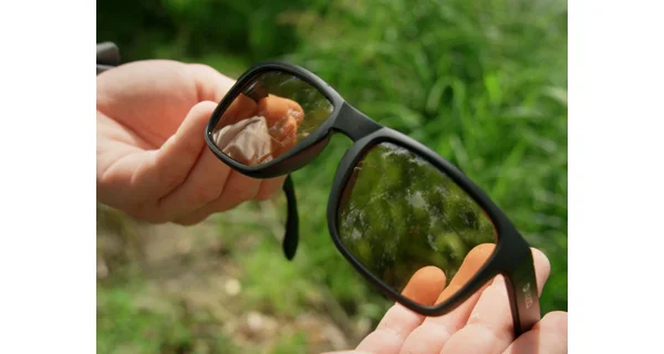 DELPHIN - Polarizační brýle WIZIO