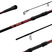 DELPHIN - Prut Amulet Carp 3 m 2,5 lb 2 díly