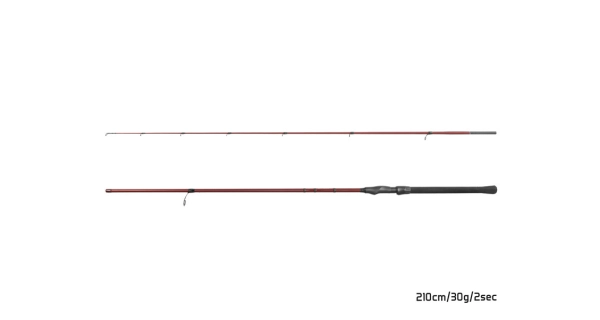 DELPHIN - Prut Amulet Spin 2,1 m 30 g