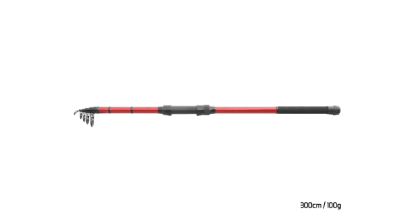 DELPHIN - Prut Amulet Tele 3 m 2 lb