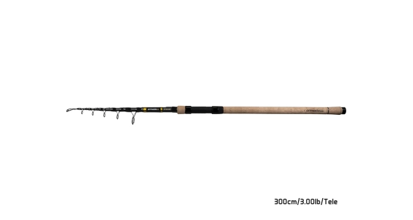 DELPHIN - Prut Armada NX Travel Blacway Cork 3 lb 3,3 m