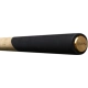 DELPHIN - Prut Drama Match 50 g 3,6 m