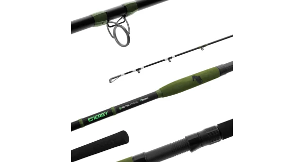 DELPHIN - Prut Energy Catfish 2,8 m 250-500 g 2 díly