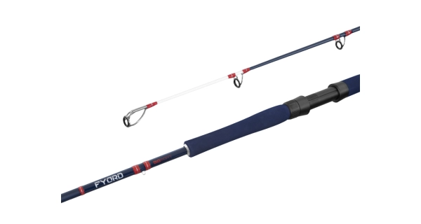 DELPHIN - Prut Fyord Big Boat 2,2 m 300-400 g
