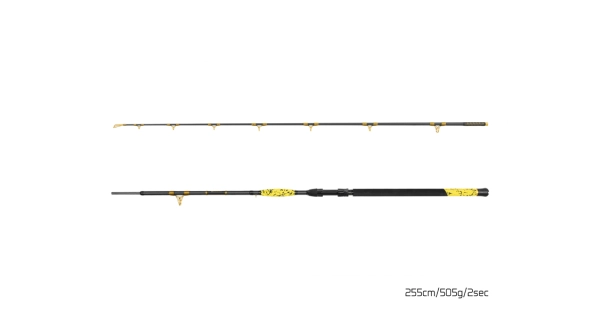 DELPHIN - Prut Hazard BxG 255 cm 505 g