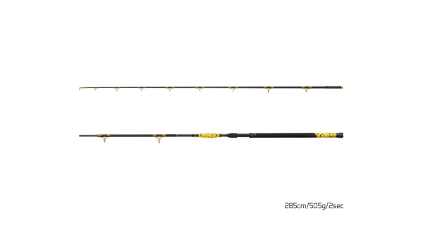 DELPHIN - Prut Hazard BxG 285 cm 505 g