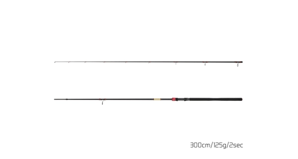 DELPHIN - Prut Murena Power 3 m 125 g