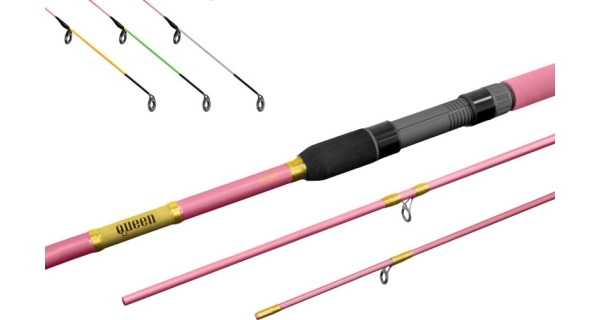 DELPHIN - Prut Queen Feeder 3,3 m 100 g + 3 špičky