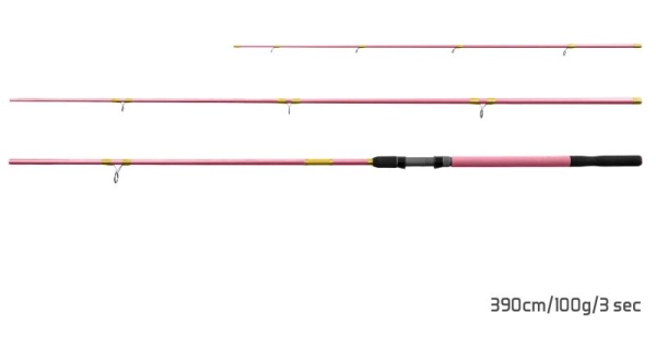 DELPHIN - Prut Queen Feeder 3,3 m 100 g + 3 špičky