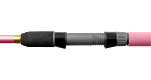 DELPHIN - Prut Queen Feeder 3,3 m 100 g + 3 špičky