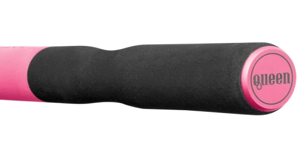 DELPHIN - Prut Queen Feeder 3,3 m 100 g + 3 špičky