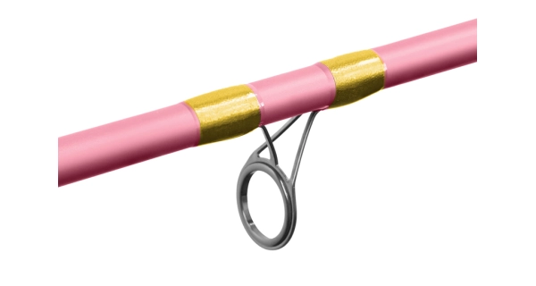 DELPHIN - Prut Queen Feeder 3,6 m 100 g + 3 špičky