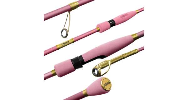 DELPHIN - Prut Queen Spin 10-30 g 2,4 m