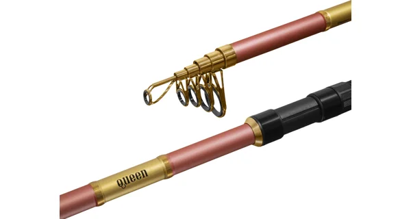 DELPHIN - Prut Queen Tele 300 cm 100 g