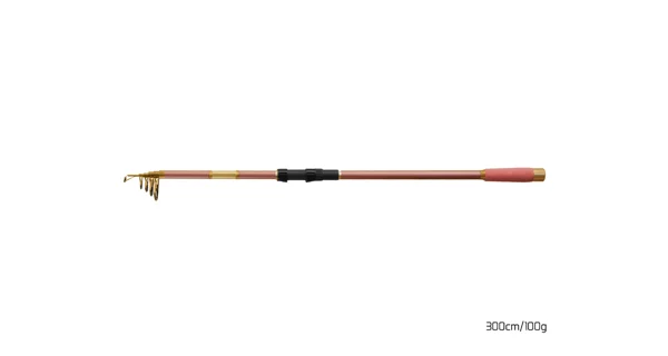 DELPHIN - Prut Queen Tele 300 cm 100 g