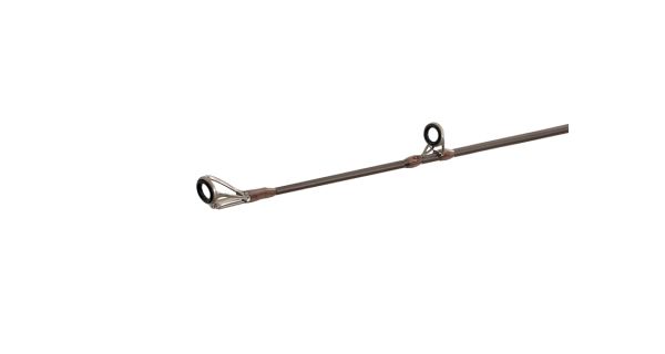 DELPHIN - Prut Quest B´Cast 125 g 1,95 m 2 díly