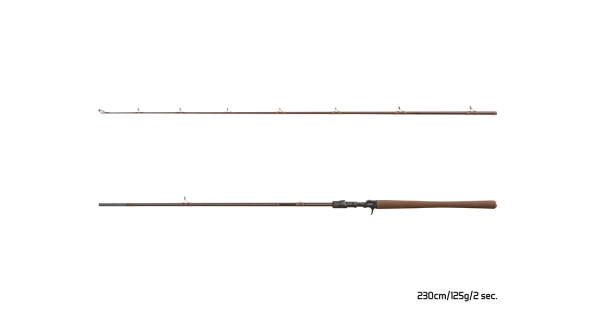 DELPHIN - Prut Quest B´Cast 125 g 2,3 m 2 díly