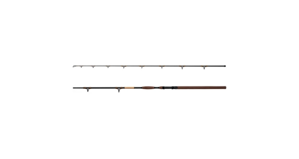 DELPHIN - Prut SymbolCat Bronze 3,1 m 500 g 2 díly